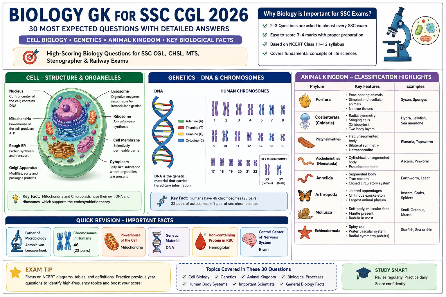 Biology GK infographic for SSC CGL 2026 covering cell structure, DNA and chromosomes, and animal kingdom classification